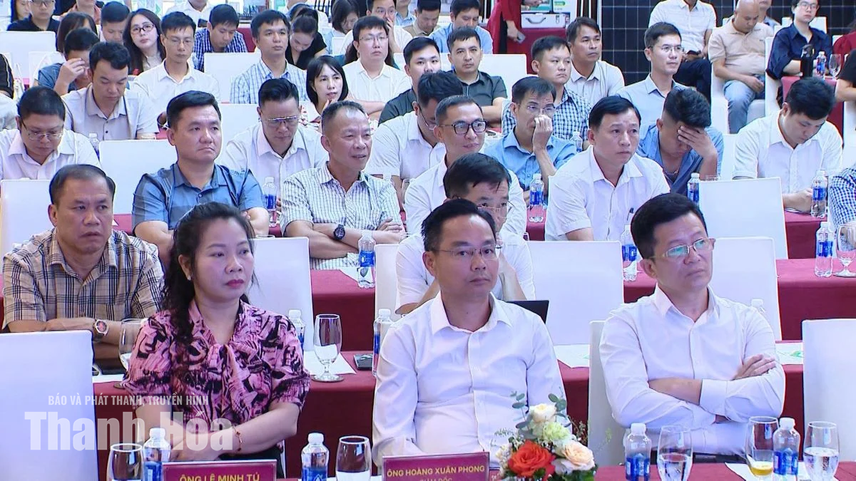 Thúc đẩy giải pháp tiết kiệm năng lượng, chuyển đổi xanh trong doanh nghiệp