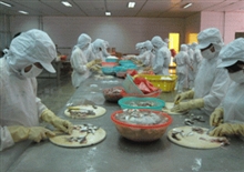 Công nhân Công ty CP Xuất nhập khẩu thủy sản Thanh Hóa trong ca sản xuất. &nbsp;