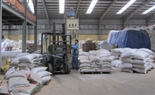 Công nhân Nhà máy Thức ăn chăn nuôi cao cấp Lễ Môn (Công ty CP Nông sản Thanh Hoa) bốc xếp sản phẩm. 